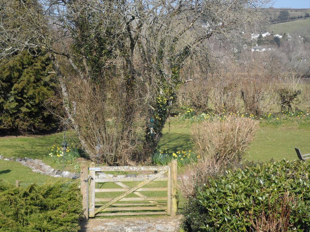 Hotel Gages Mill Ashburton Esterno foto