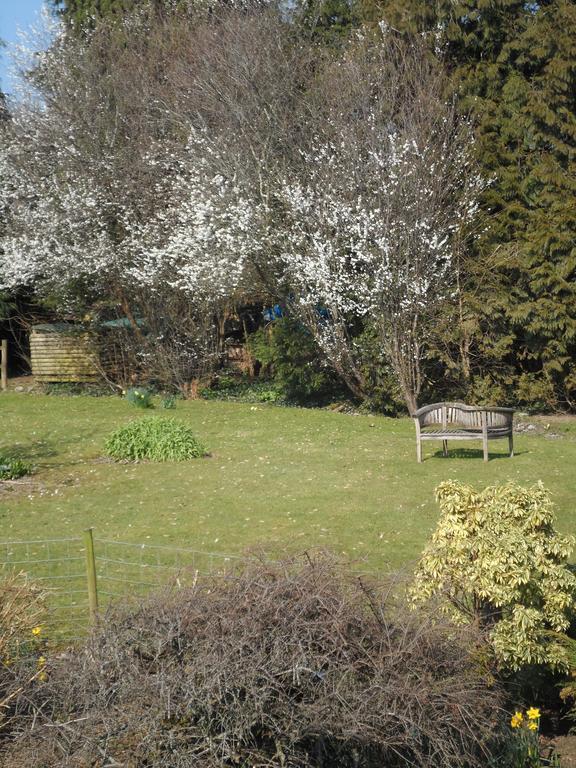 Hotel Gages Mill Ashburton Esterno foto